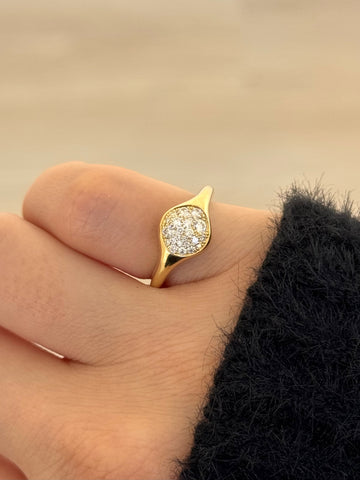 Diamond Nest Signet Ring