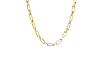 The Golden Link Chain Necklace